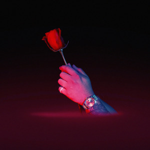 aaaaaaa级毛片高黄
